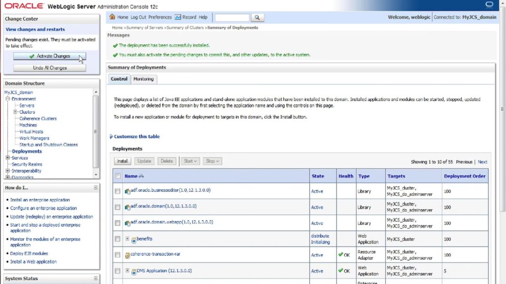 Interface of Oracle Java Cloud Service